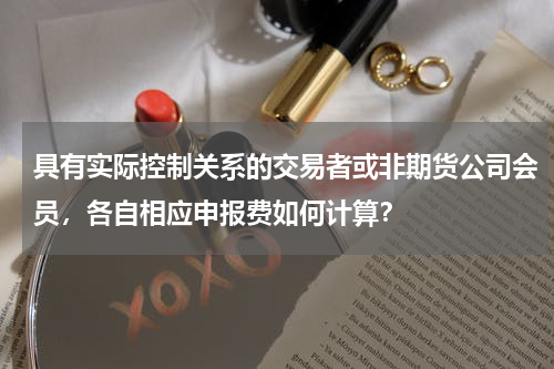 具有实际控制关系的交易者或非期货公司会员，各自相应申报费如何计算？