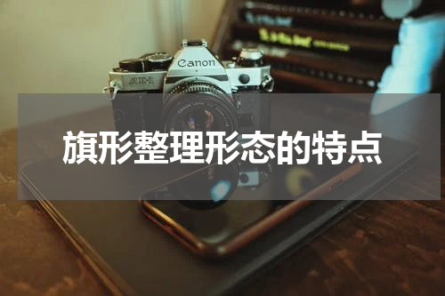 旗形整理形态的特点